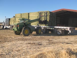 Loading Square Bales