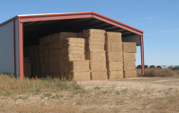 Hay for sale