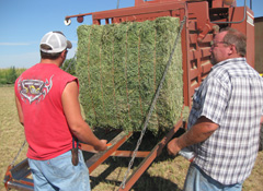 Hay broker in Kansas