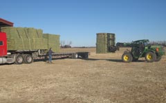 Loading Hay in a truck