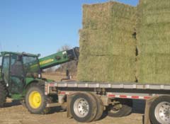 kansas wheat straw