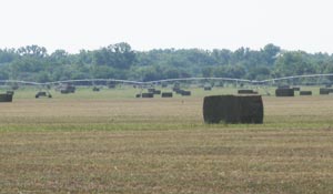 Irrigated Hay Field